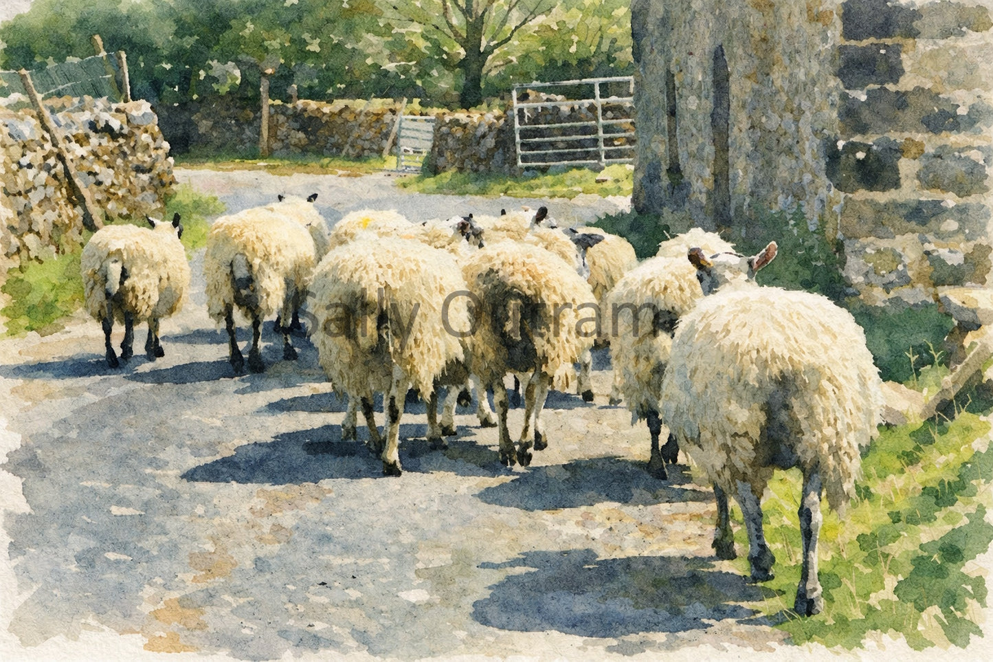 Dales' Traffic Jam - North Yorkshire