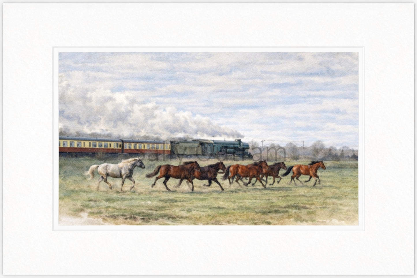 Flying Scotsman & Wild Horses