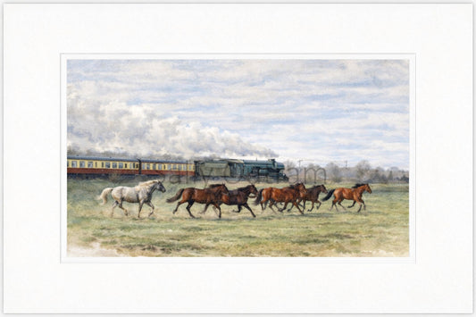 Flying Scotsman & Wild Horses